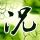 siul4d slot Hari ini adalah hari ketujuh dari tahun ketiga puluh satu kalender Qin